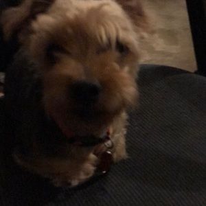 Meet your Posher, Megan